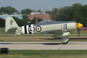 Commemorative Air Force Hawker Sea Fury FB.11 (N15S) at  Oshkosh - Wittman Regional, United States