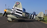 Commemorative Air Force Hawker Sea Fury FB.11 (N15S) at  Oshkosh - Wittman Regional, United States