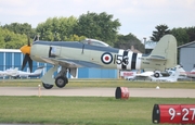 Commemorative Air Force Hawker Sea Fury FB.11 (N15S) at  Oshkosh - Wittman Regional, United States