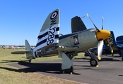 Commemorative Air Force Hawker Sea Fury FB.11 (N15S) at  Oshkosh - Wittman Regional, United States