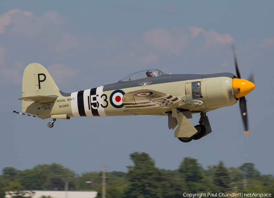 Commemorative Air Force Hawker Sea Fury FB.11 (N15S) | Photo 81322