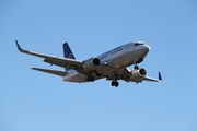 United Airlines Boeing 737-524 (N16647) at  Houston - George Bush Intercontinental, United States