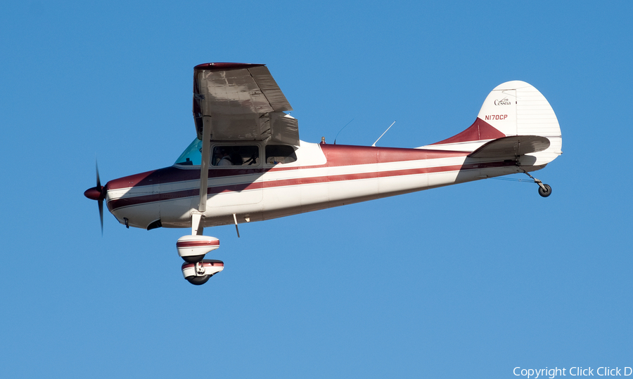 (Private) Cessna 170B (N170CP) | Photo 1300