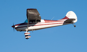 (Private) Cessna 170B (N170CP) at  Dallas - Addison, United States