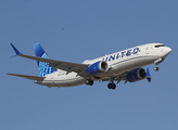 United Airlines Boeing 737-8 MAX (N17262) at  Dallas/Ft. Worth - International, United States