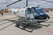 (Private) Enstrom F-28A (N173) at  Detroit - Willow Run, United States