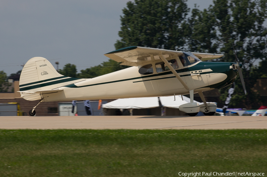 (Private) Cessna 170A (N1736D) | Photo 266328