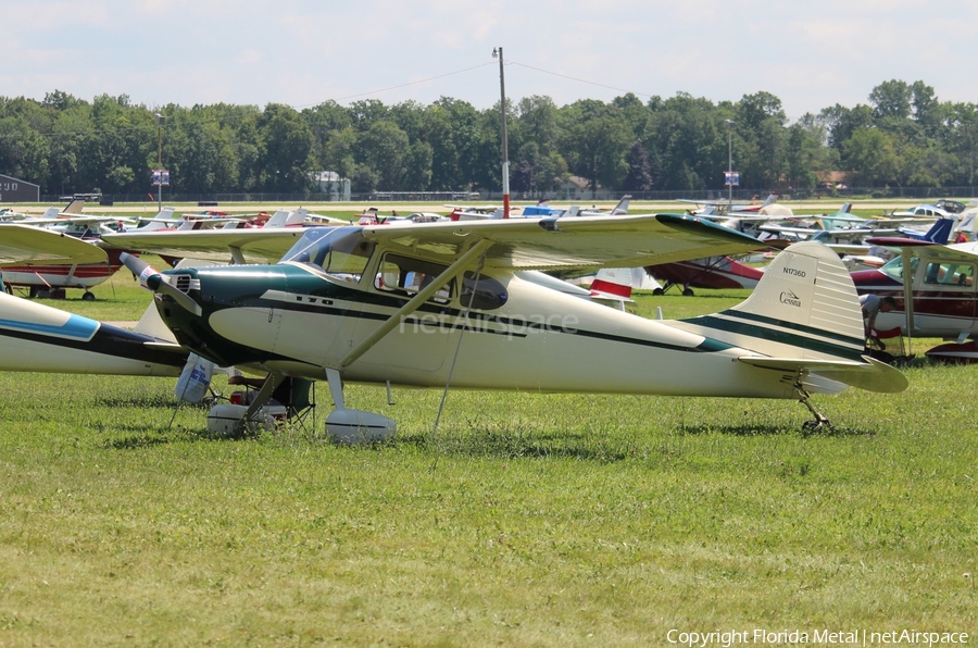 (Private) Cessna 170A (N1736D) | Photo 327422