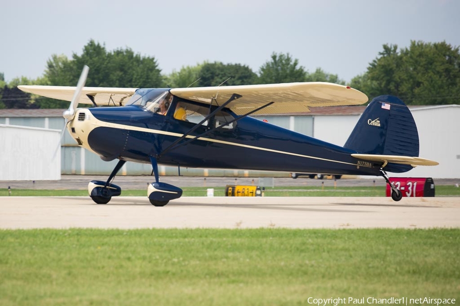 (Private) Cessna 170 (N175BA) | Photo 183017