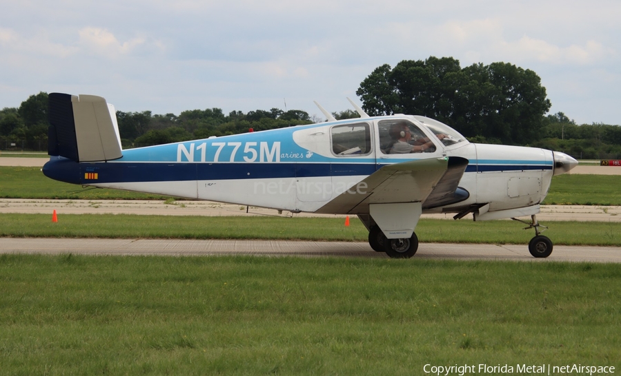 (Private) Beech B35 Bonanza (N1775M) | Photo 676766