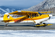(Private) Aviat A-1C-180 Husky (N180KY) at  Samedan - St. Moritz, Switzerland