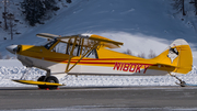 (Private) Aviat A-1C-180 Husky (N180KY) at  Samedan - St. Moritz, Switzerland