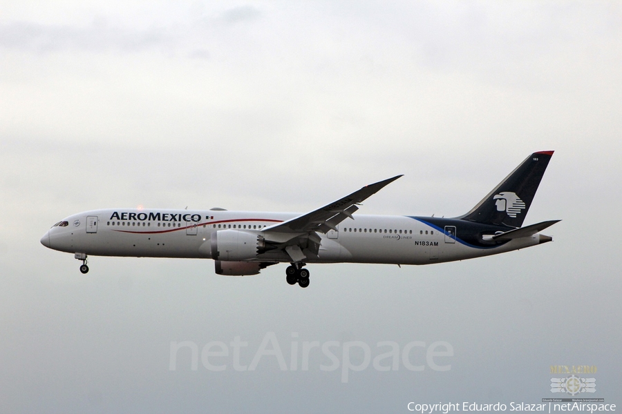AeroMexico Boeing 787-9 Dreamliner (N183AM) | Photo 314714