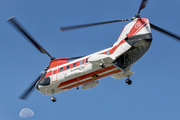 Columbia Helicopters Boeing-Vertol 107-II (N188CH) at  Kabul - Khwaja Rawash, Afghanistan