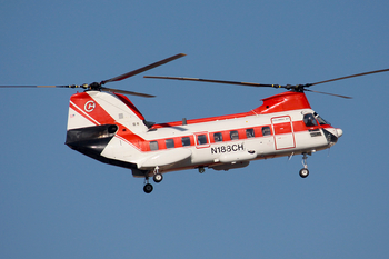 Columbia Helicopters Boeing-Vertol 107-II (N188CH) at  Bagram Air Base, Afghanistan?sid=4c6cf5155531fe837803b809e6127364