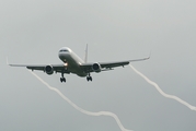 United Airlines Boeing 757-224 (N19141) at  Belfast / Aldergrove - International, United Kingdom