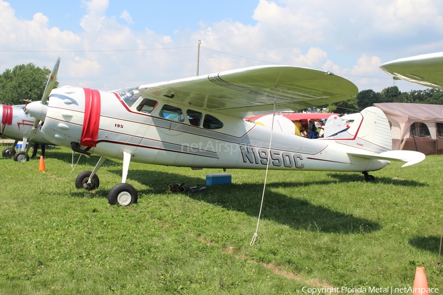 (Private) Cessna 195B Businessliner (N1950C) | Photo 306683