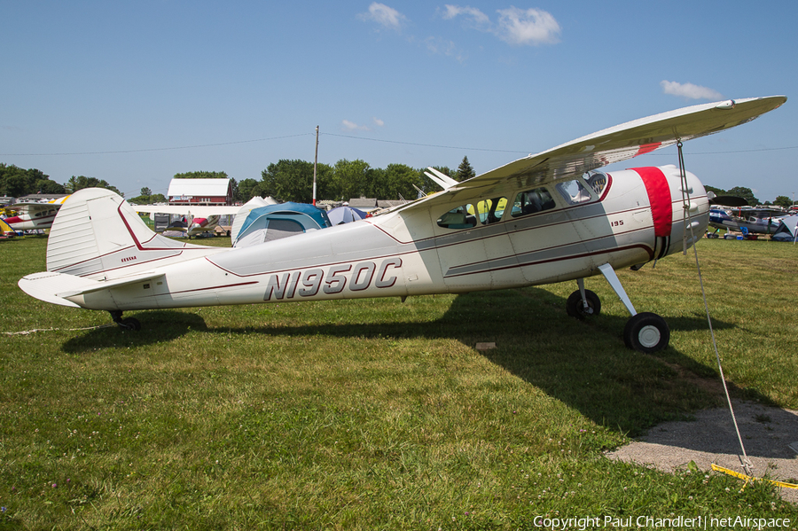 (Private) Cessna 195B Businessliner (N1950C) | Photo 391187