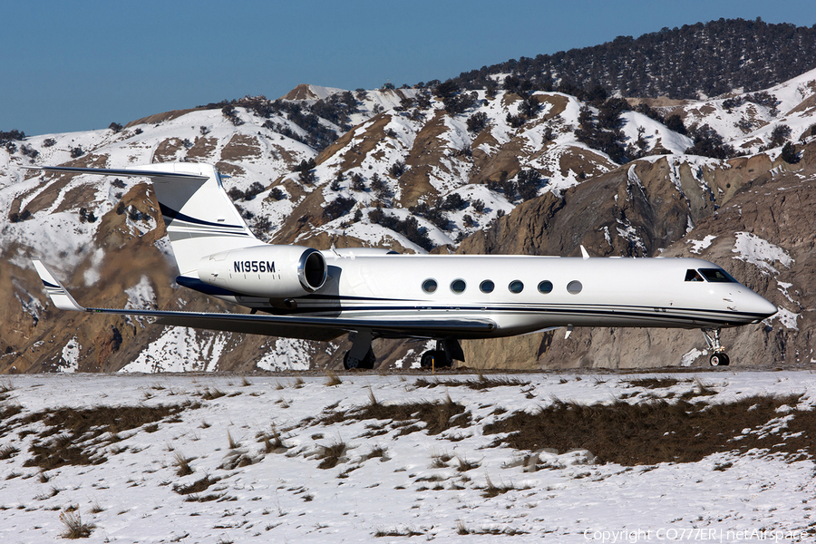 (Private) Gulfstream G-V (N1956M) | Photo 36865