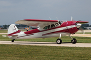 (Private) Cessna 195B Businessliner (N195BA) at  Oshkosh - Wittman Regional, United States