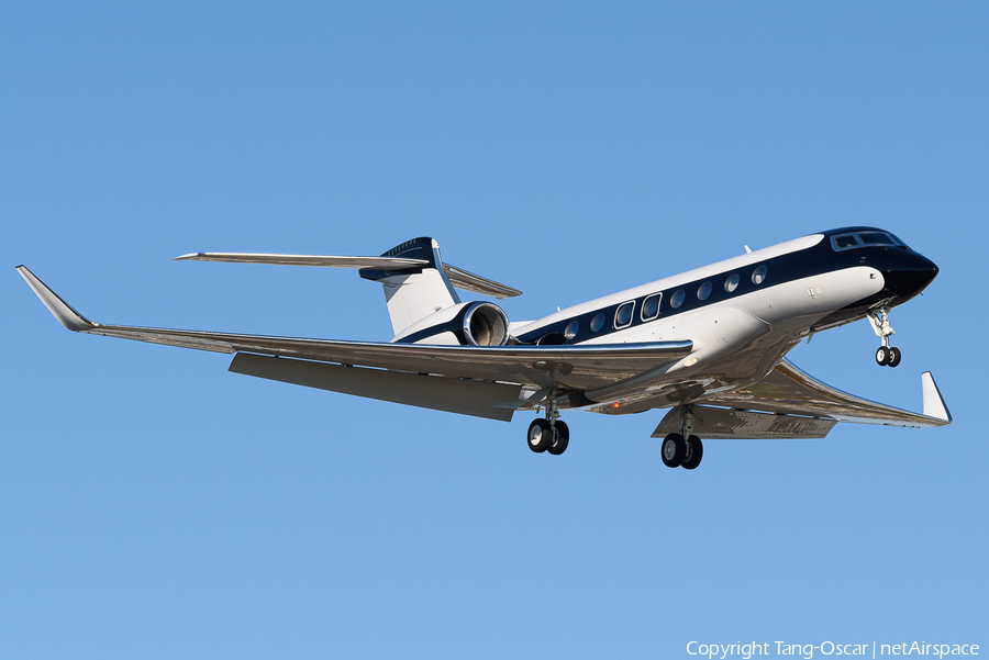 (Private) Gulfstream G650ER (N19HS) | Photo 479326