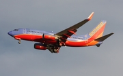 Southwest Airlines Boeing 737-7H4 (N202WN) at  Tampa - International, United States