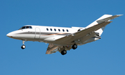(Private) Raytheon Hawker 800XP (N203TM) at  Dallas - Addison, United States