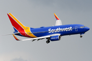 Southwest Airlines Boeing 737-7H4 (N204WN) at  Washington - Ronald Reagan National, United States