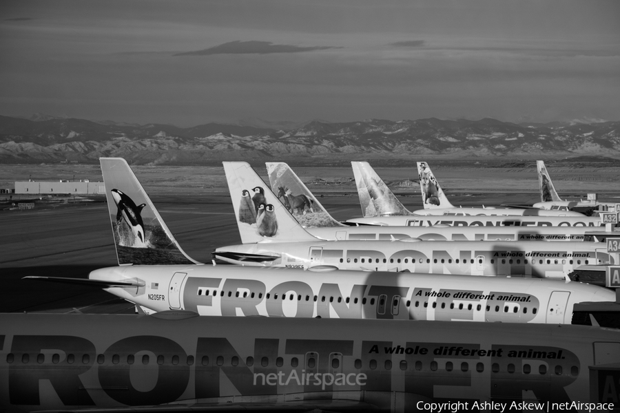 Frontier Airlines Airbus A320-214 (N205FR) | Photo 66470