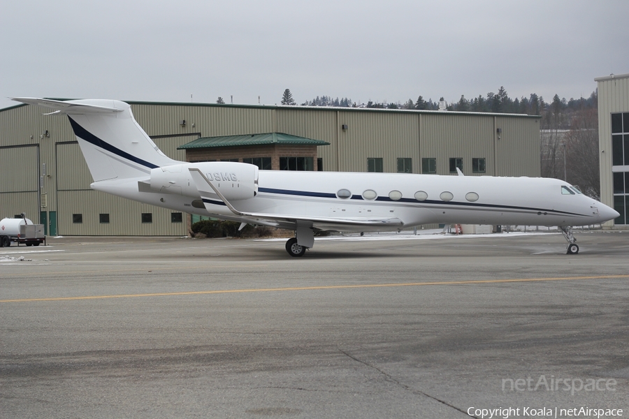 (Private) Gulfstream G-V (N209MG) | Photo 663527