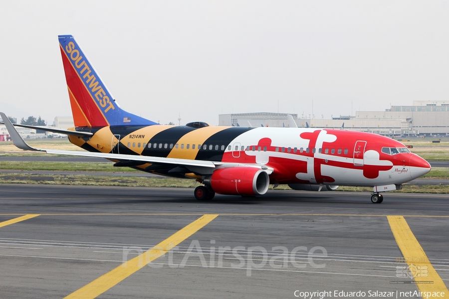 Southwest Airlines Boeing 737-7H4 (N214WN) | Photo 374059