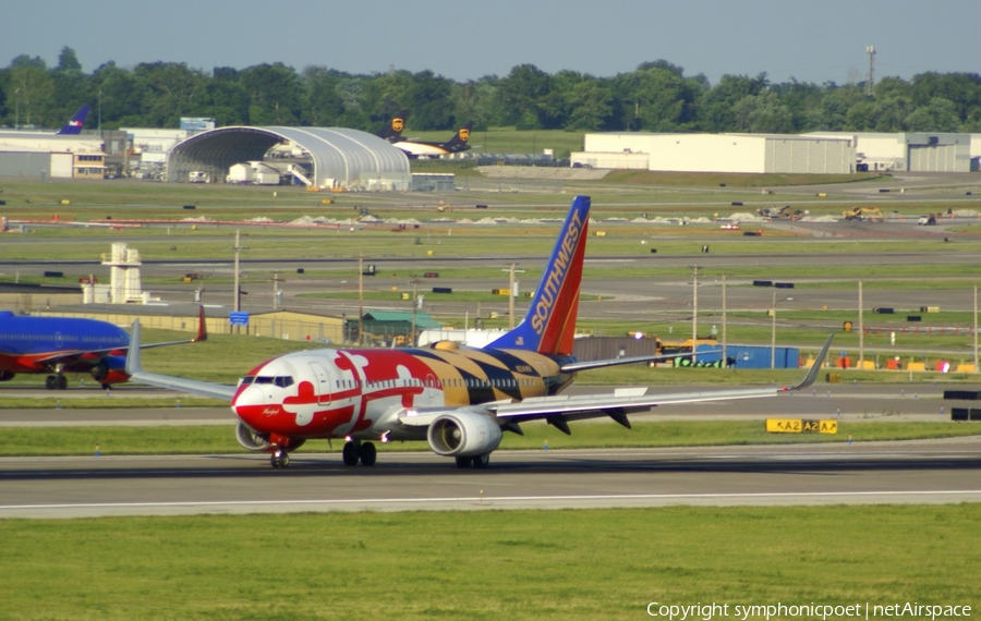 Southwest Airlines Boeing 737-7H4 (N214WN) | Photo 328277