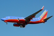 Southwest Airlines Boeing 737-7H4 (N221WN) at  Tampa - International, United States