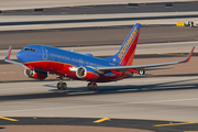 Southwest Airlines Boeing 737-7H4 (N224WN) at  Phoenix - Sky Harbor, United States