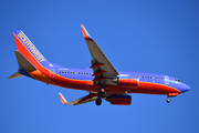 Southwest Airlines Boeing 737-7H4 (N226WN) at  Denver - International, United States