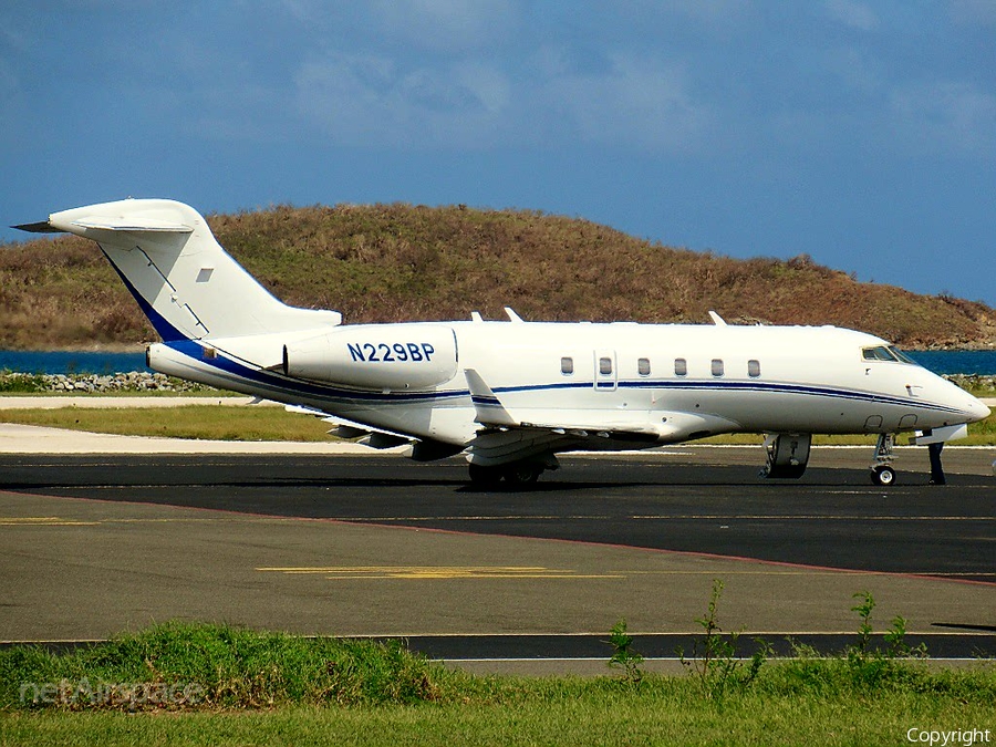(Private) Bombardier BD-100-1A10 Challenger 300 (N229BP) | Photo 193378