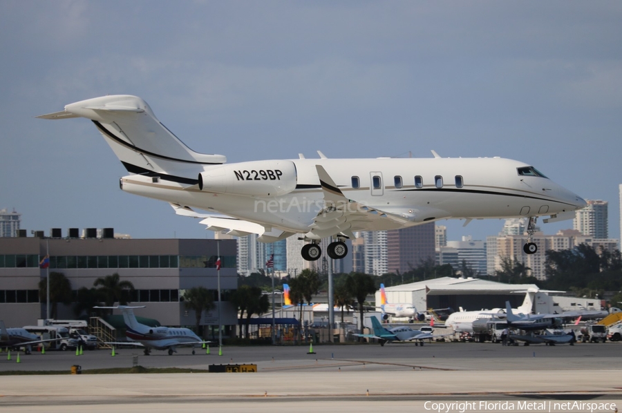 (Private) Bombardier BD-100-1A10 Challenger 300 (N229BP) | Photo 570555