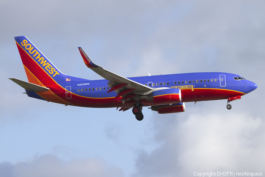 Southwest Airlines Boeing 737-7H4 (N229WN) | Photo 432558
