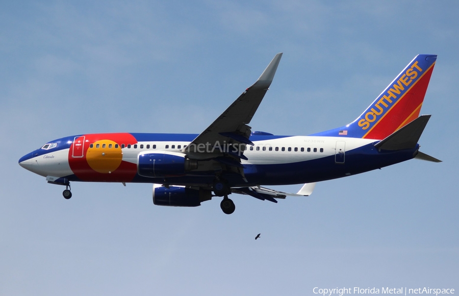 Southwest Airlines Boeing 737-7H4 (N230WN) | Photo 297388