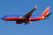 Southwest Airlines Boeing 737-7H4 (N231WN) at  Tampa - International, United States