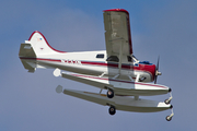 (Private) de Havilland Canada U-6A Beaver (N233N) at  Seattle - Boeing Field, United States