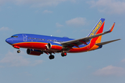 Southwest Airlines Boeing 737-7H4 (N235WN) at  Dallas - Love Field, United States