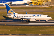 United Airlines Boeing 737-724 (N23708) at  Tampa - International, United States