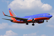 Southwest Airlines Boeing 737-7H4 (N237WN) at  Washington - Ronald Reagan National, United States