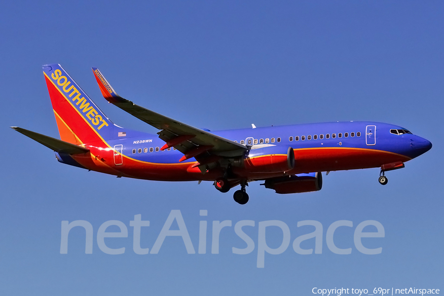 Southwest Airlines Boeing 737-7H4 (N238WN) | Photo 68724