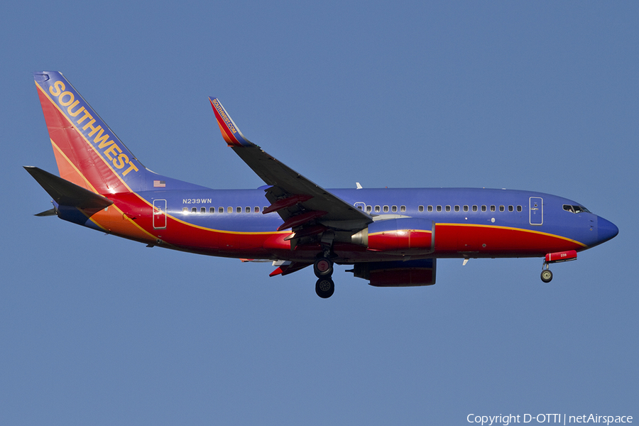 Southwest Airlines Boeing 737-7H4 (N239WN) | Photo 363692