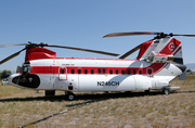 Columbia Helicopters Boeing-Vertol 234LR (N246CH) at  Stevensville, United States