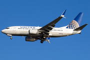 United Airlines Boeing 737-724 (N24736) at  Tampa - International, United States