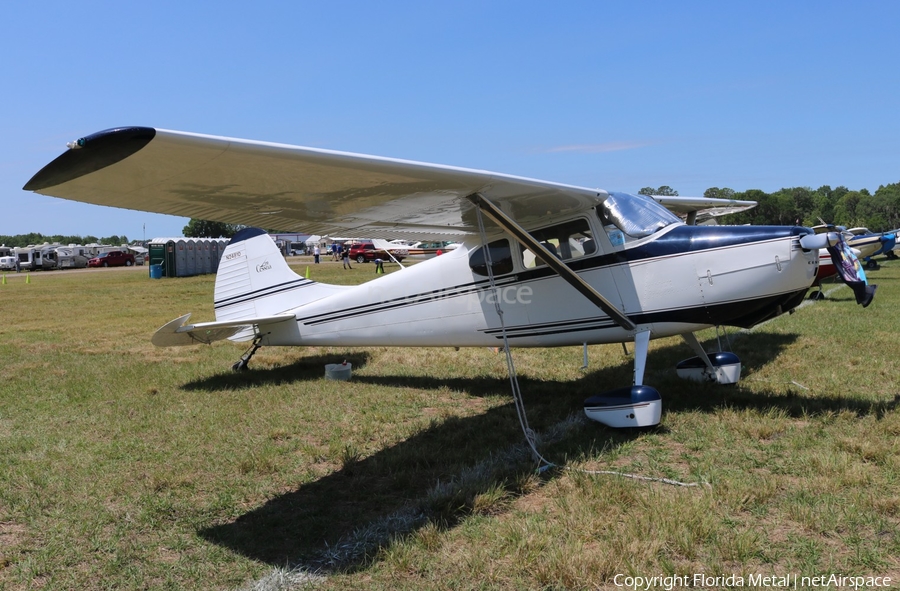 (Private) Cessna 170B (N2481D) | Photo 328576