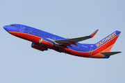 Southwest Airlines Boeing 737-7H4 (N249WN) at  Tampa - International, United States